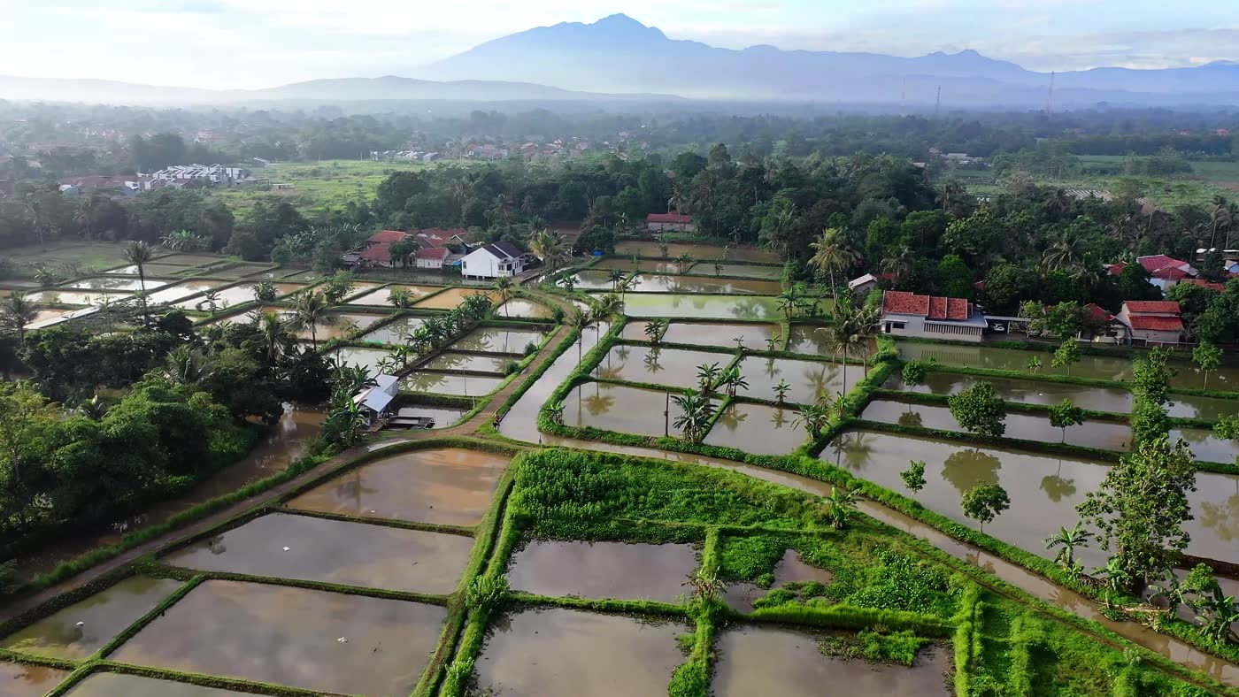 Aerial view of aquaculture ponds
